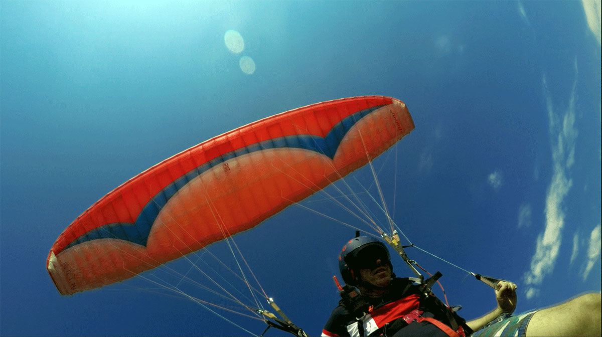 Parasparnis